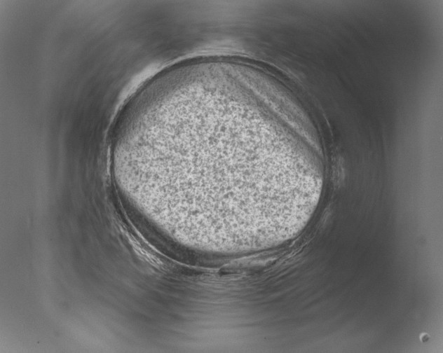 X0000076301366200610201533