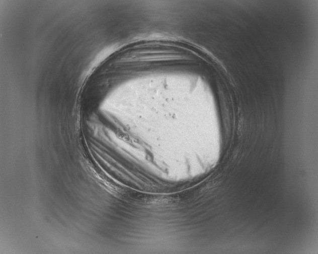 X0000076301367200610201533