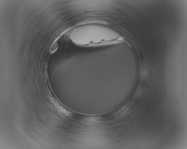 X0000076301369200610201533