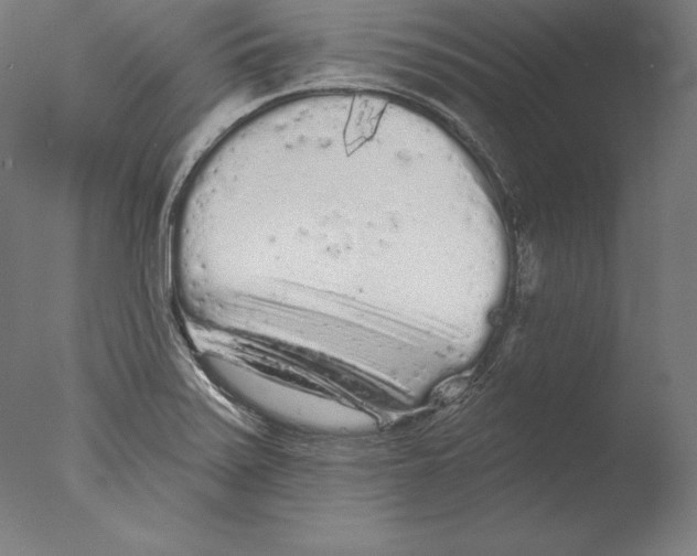 X0000076301371200610201533