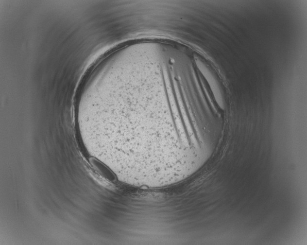 X0000076301372200610201533