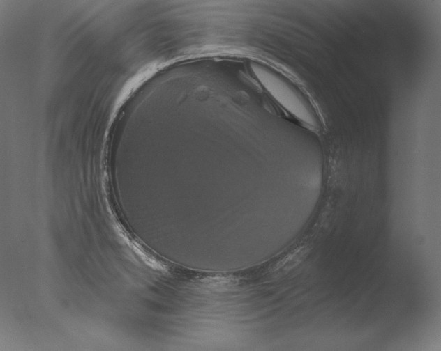 X0000076301373200610201533