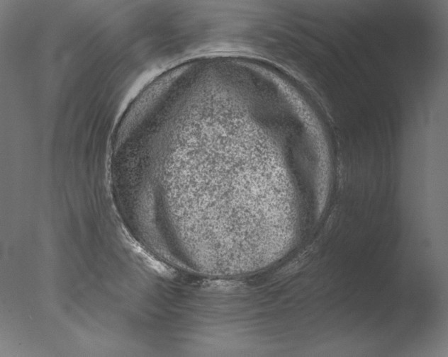 X0000076301374200610201533