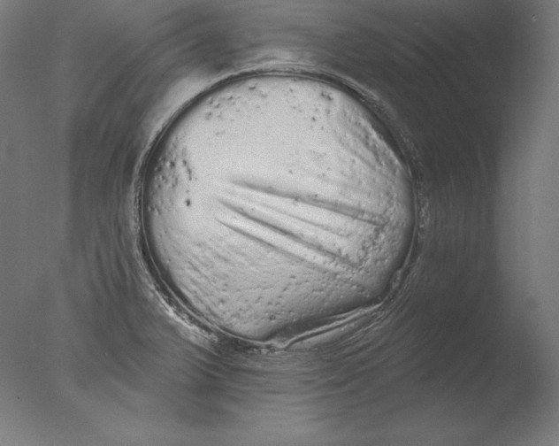 X0000076301375200610201533