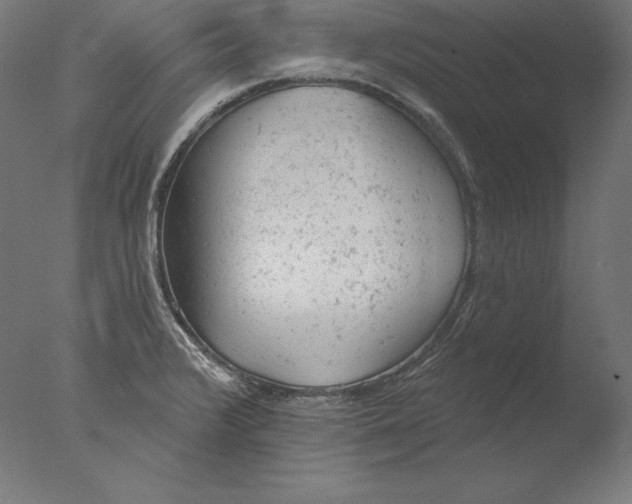 X0000076301376200610201533