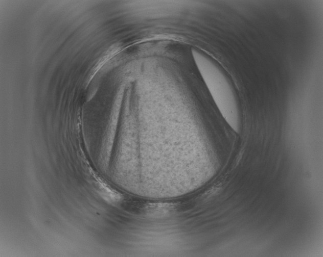 X0000076301377200610201533