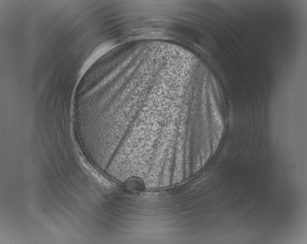 X0000076301378200610201533