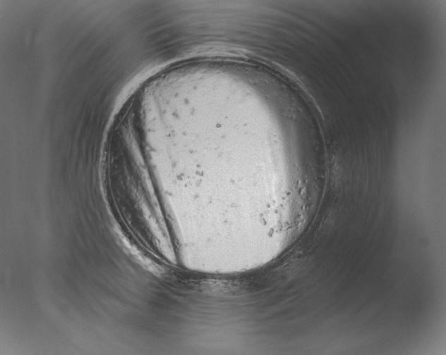 X0000076301379200610201533