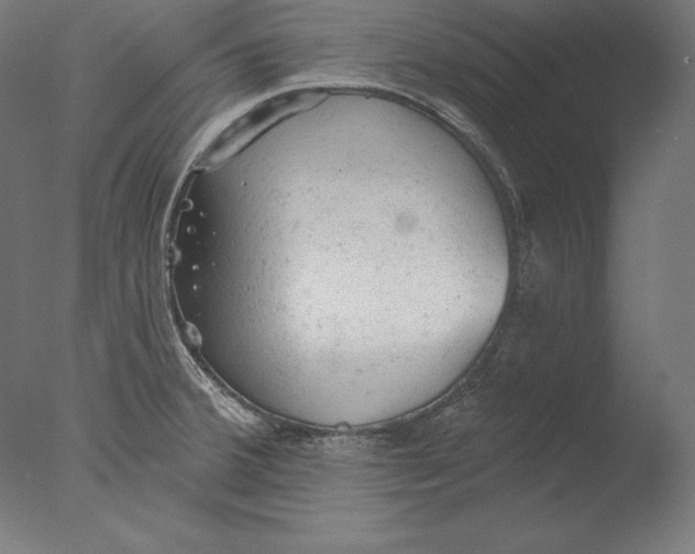 X0000076301380200610201533