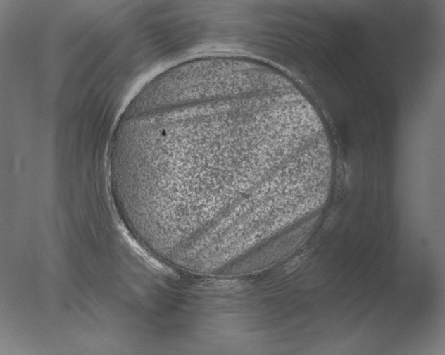 X0000076301382200610201532