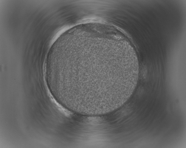 X0000076301383200610201532