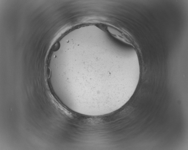 X0000076301384200610201532