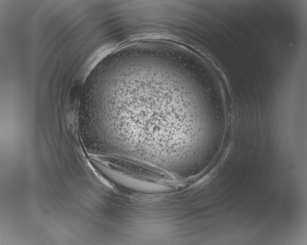 X0000076301385200610201532