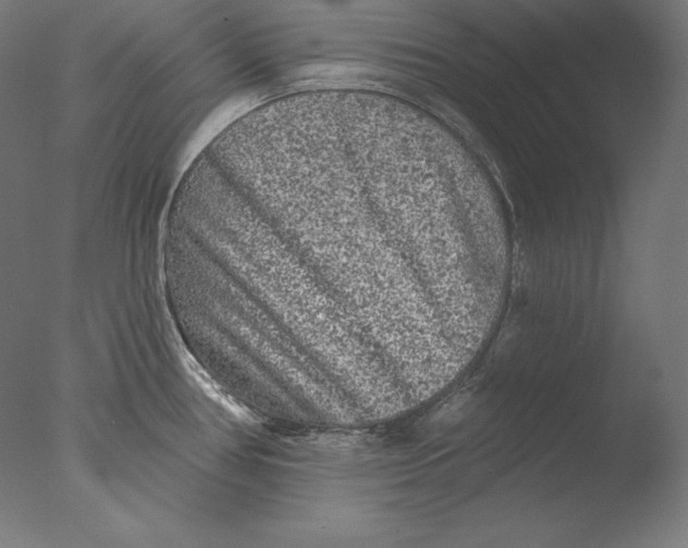 X0000076301386200610201532