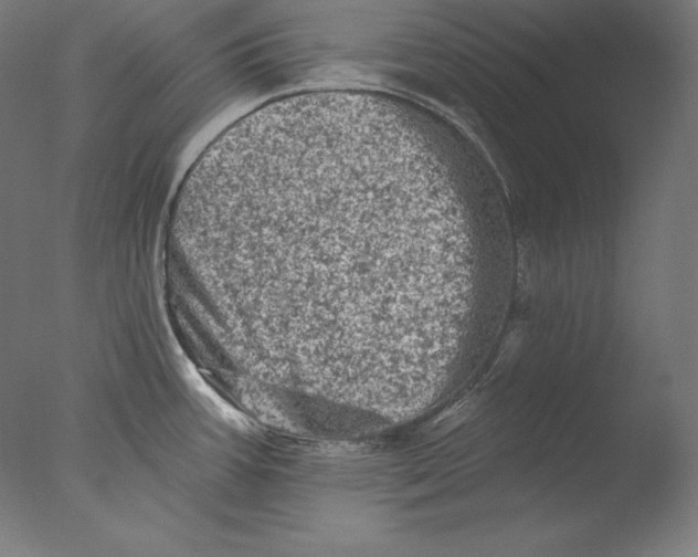 X0000076301387200610201532