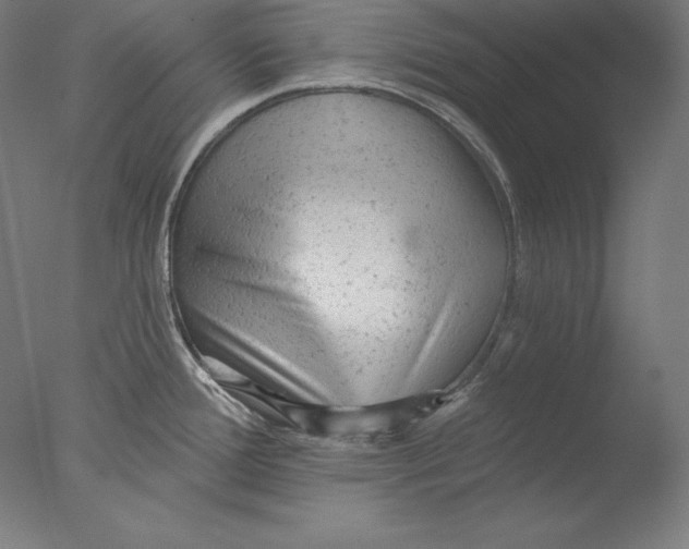 X0000076301388200610201532