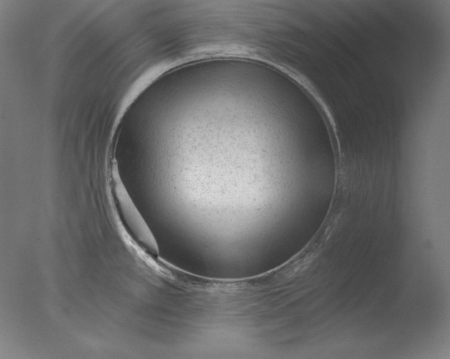 X0000076301389200610201532