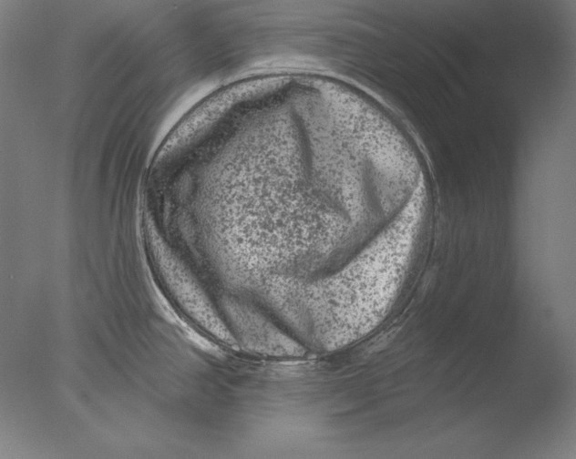 X0000076301390200610201532