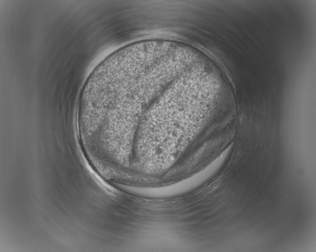 X0000076301391200610201532