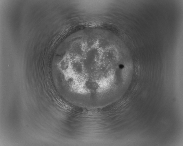 X0000076301393200610201532