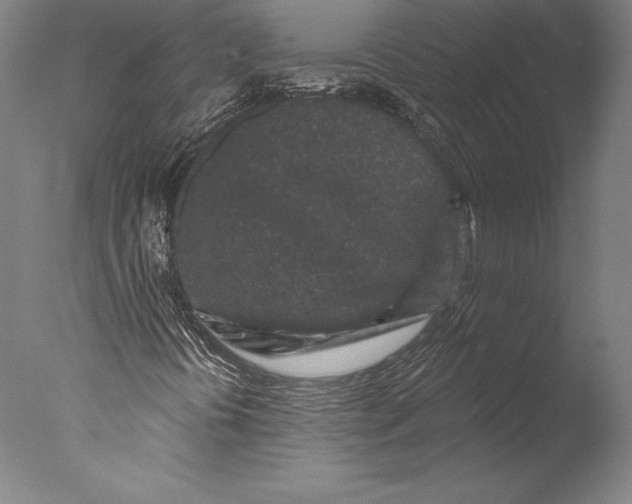 X0000076301394200610201532