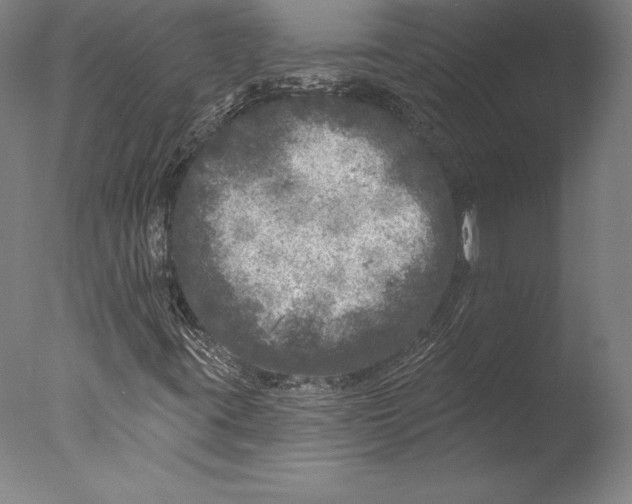 X0000076301395200610201532