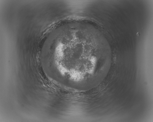 X0000076301397200610201532