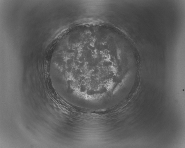 X0000076301399200610201532