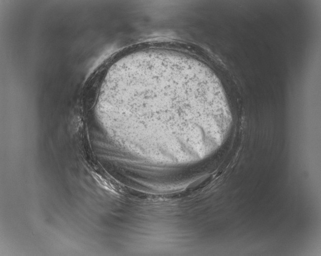 X0000076301400200610201532