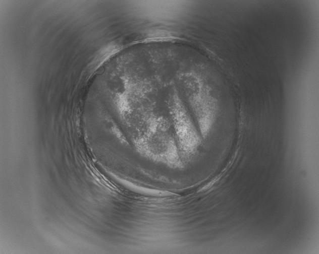 X0000076301401200610201532