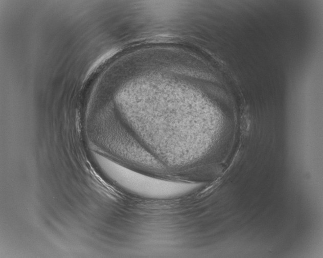 X0000076301402200610201532