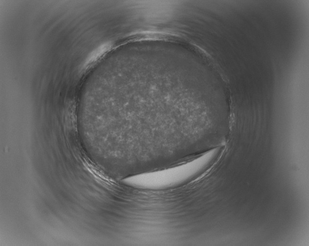 X0000076301403200610201532