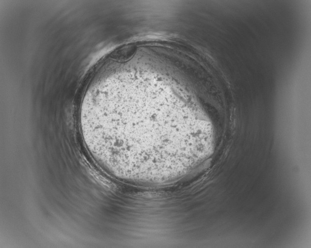 X0000076301404200610201532