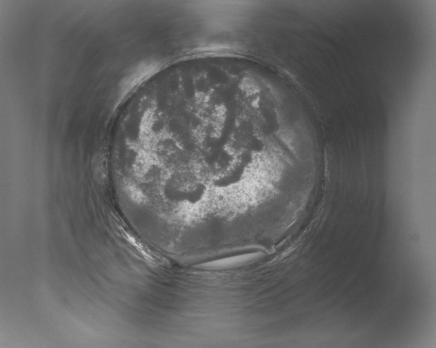 X0000076301405200610201532