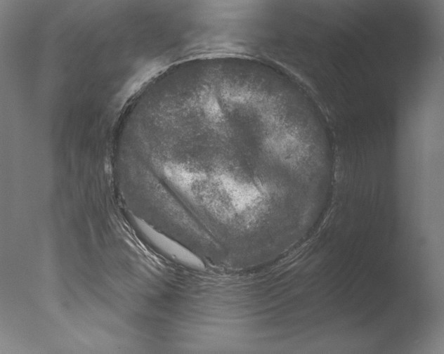 X0000076301407200610201532