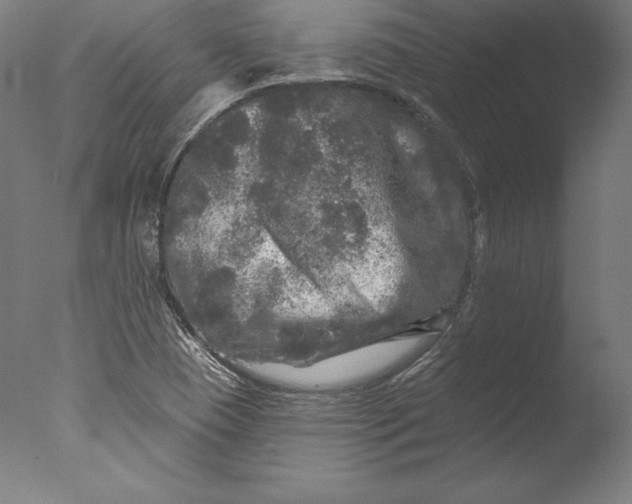 X0000076301409200610201532