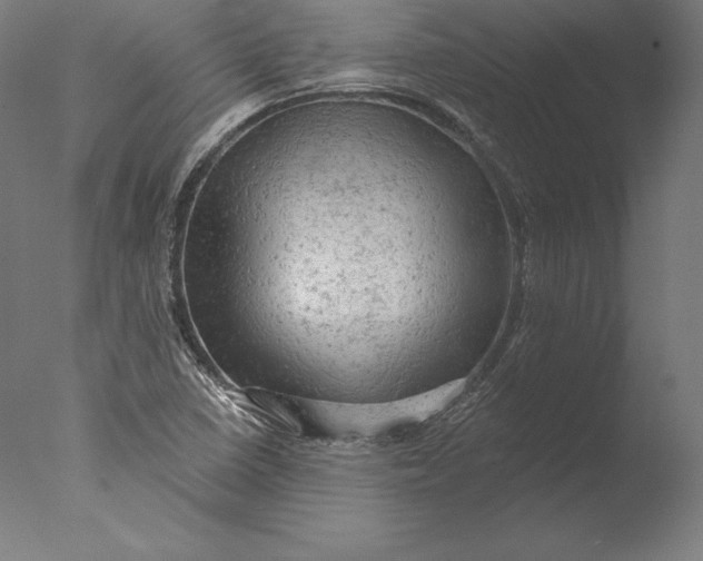 X0000076301410200610201532