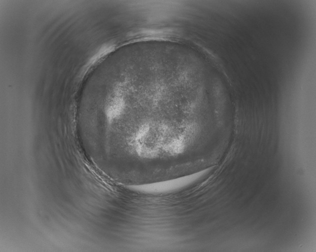 X0000076301411200610201532