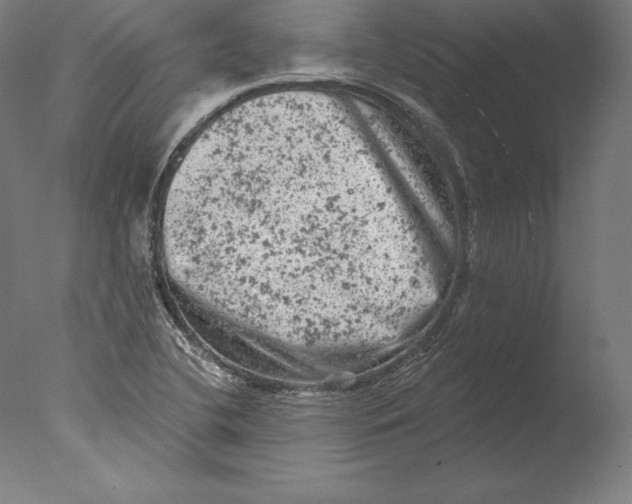 X0000076301412200610201532