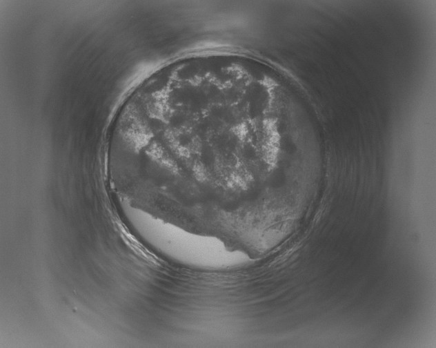 X0000076301413200610201532