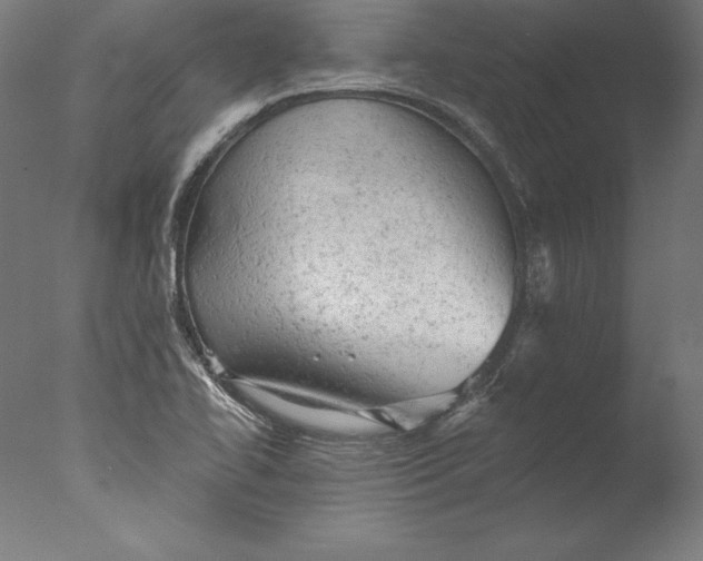 X0000076301414200610201532