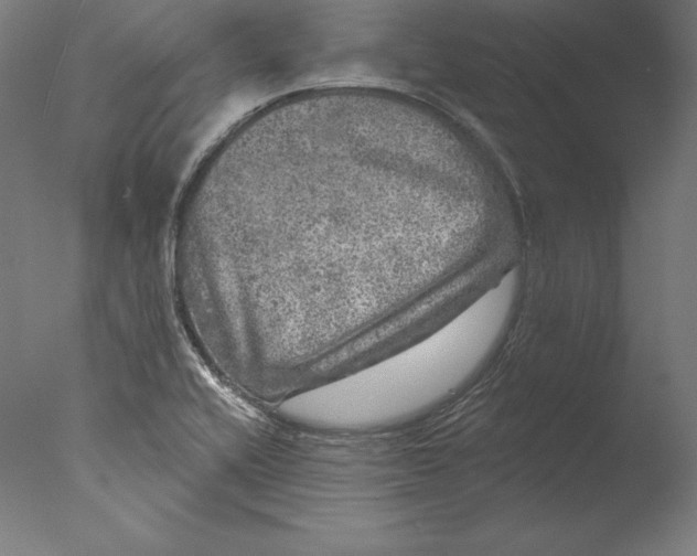 X0000076301416200610201532