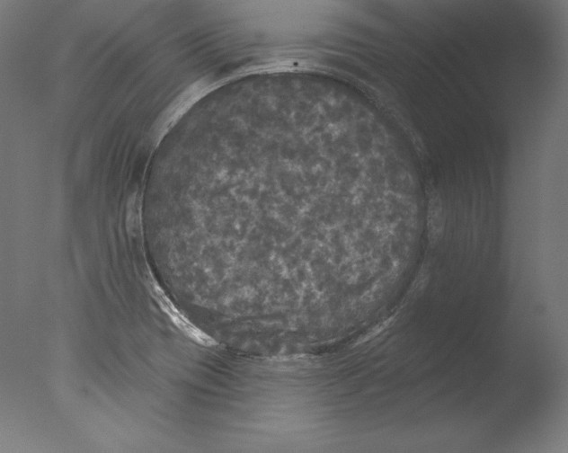 X0000076301417200610201532