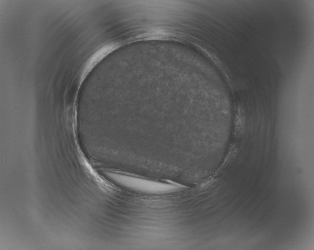 X0000076301418200610201532