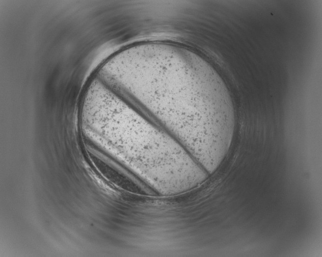 X0000076301420200610201532