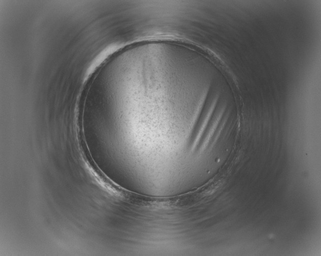 X0000076301422200610201532