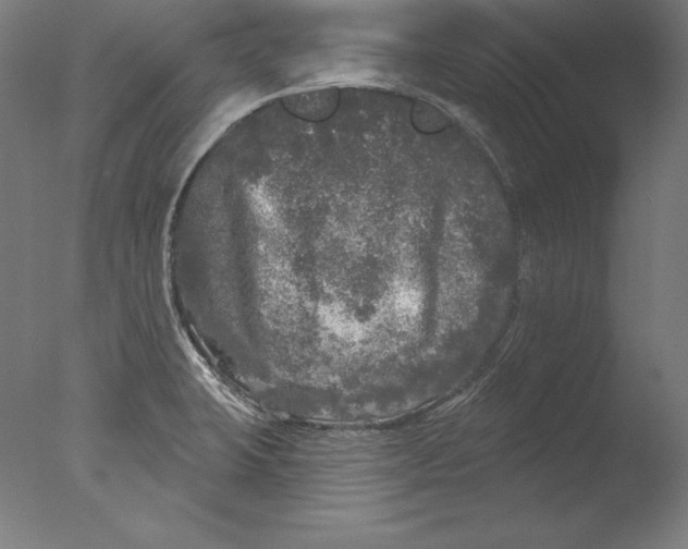 X0000076301423200610201532