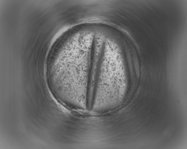 X0000076301424200610201532