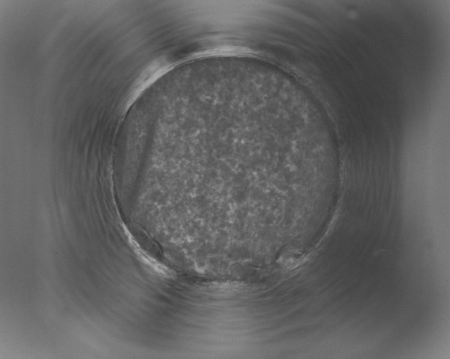 X0000076301425200610201532