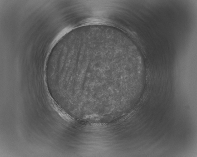 X0000076301427200610201532